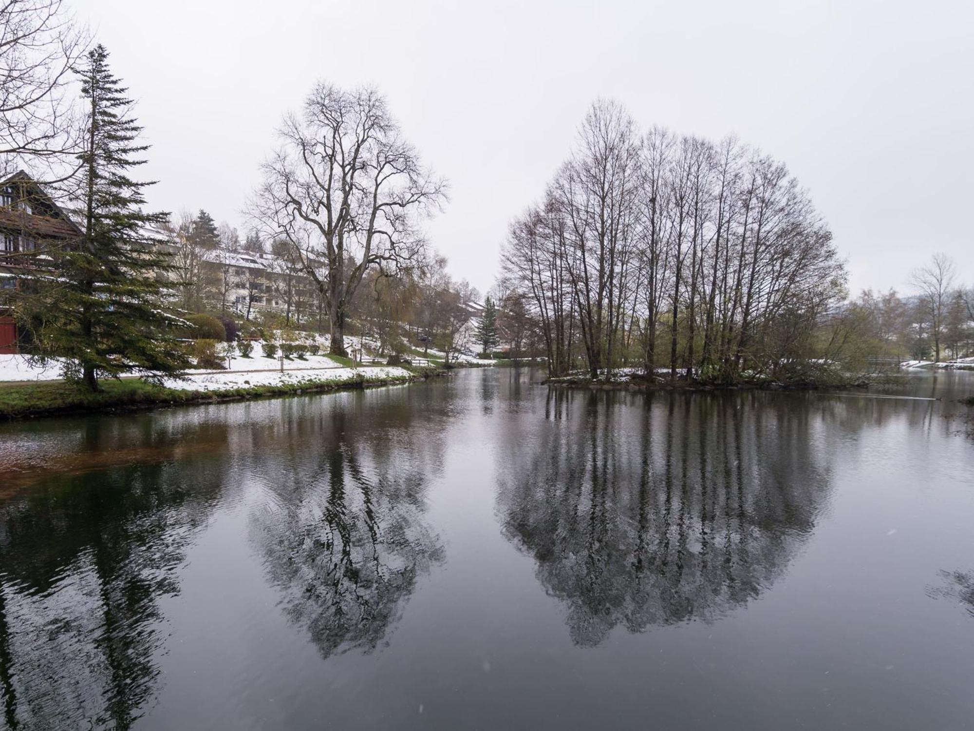 Ferienwohnungen Seeblick Unterkirnach Exterior foto